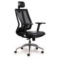 Ghế Ergonomic Premier-01 văn phòng