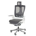 Ghế Ergonomic Wonder II-01 cao cấp