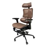 Ghế Ergonomic Rainbow GSP văn phòng màu đồng