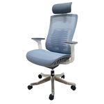 Ghế Ergonomic cao cấp màu Xanh Trắng