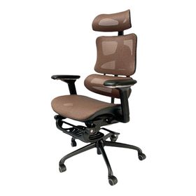 Ghế Ergonomic Rainbow GSP văn phòng màu đồng