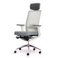 Ghế Ergonomic Active-T01 văn phòng cao cấp