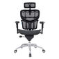 Ghế Ergonomic văn phòng cao cấp