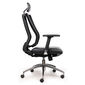 Ghế Ergonomic Premier-01 văn phòng