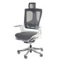 Ghế Ergonomic Wonder II-01 cao cấp