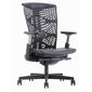 Ghế Ergonomic Raina TPE văn phòng
