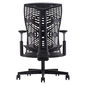 Ghế Ergonomic Raina TPE văn phòng