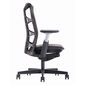 Ghế Ergonomic Raina TPE văn phòng