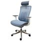 Ghế Ergonomic cao cấp màu Xanh Trắng