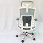 Ghế Ergonomic cao cấp màu Xanh Trắng