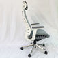 Ghế Ergonomic cao cấp màu Xanh Trắng