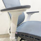Ghế Ergonomic cao cấp màu Xanh Trắng