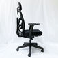 Ghế Ergonomic Tone-01 văn phòng