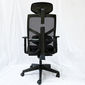 Ghế Ergonomic Tone-01 văn phòng