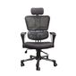 Ghế Ergonomic MSA-100 cao cấp nhập khẩu Hàn Quốc