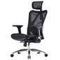 Ghế Ergonomic văn phòng màu đen