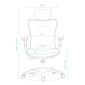 Ghế Ergonomic văn phòng có gác chân