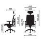 Ghế Ergonomic Exact 04 nhập khẩu cao cấp