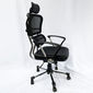 Ghế Ergonomic MSA-100 cao cấp nhập khẩu Hàn Quốc